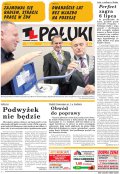 Pałuki