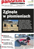 Panorama Leszczyńska