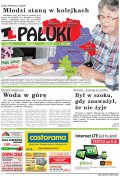 Pałuki