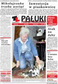 Pałuki i Ziemia Mogileńska