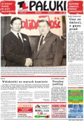 Pałuki