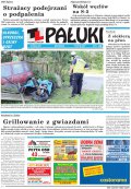 Pałuki