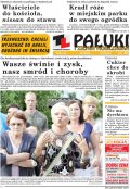 Pałuki i Ziemia Mogileńska