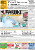 Pałuki