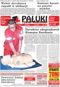 Pałuki i Ziemia Mogileńska