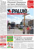 Pałuki