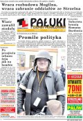 Pałuki i Ziemia Mogileńska