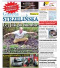Gazeta Strzelińska