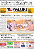 Pałuki i Ziemia Mogileńska
