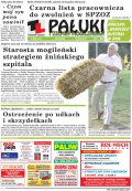 Pałuki i Ziemia Mogileńska