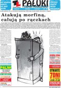Pałuki i Ziemia Mogileńska