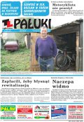 Pałuki