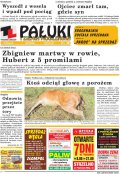 Pałuki i Ziemia Mogileńska