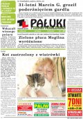 Pałuki i Ziemia Mogileńska