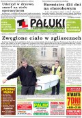 Pałuki i Ziemia Mogileńska
