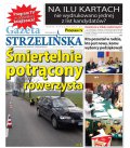 Gazeta Strzelińska