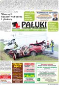 Pałuki i Ziemia Mogileńska