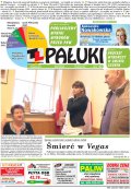 Pałuki