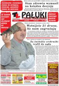 Pałuki i Ziemia Mogileńska