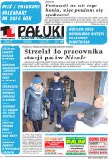 Pałuki i Ziemia Mogileńska