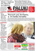 Pałuki i Ziemia Mogileńska