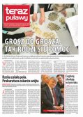 Teraz Puławy