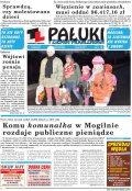Pałuki i Ziemia Mogileńska