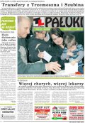 Pałuki