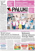 Pałuki