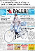 Pałuki i Ziemia Mogileńska