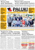 Pałuki i Ziemia Mogileńska
