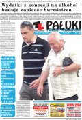 Pałuki i Ziemia Mogileńska