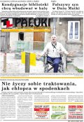 Pałuki i Ziemia Mogileńska