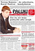 Pałuki i Ziemia Mogileńska