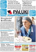 Pałuki i Ziemia Mogileńska