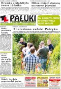 Pałuki i Ziemia Mogileńska