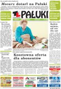 Pałuki
