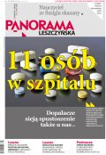 Panorama Leszczyńska