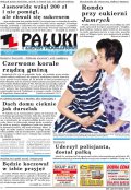 Pałuki i Ziemia Mogileńska