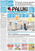 Pałuki