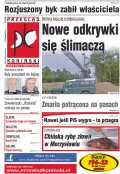Przegląd Koniński