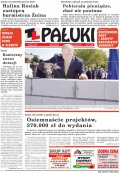 Pałuki