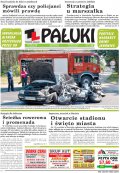 Pałuki