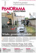 Panorama Leszczyńska