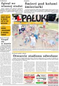 Pałuki