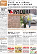 Pałuki
