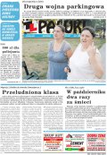 Pałuki