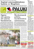 Pałuki i Ziemia Mogileńska