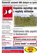 Przegląd Koniński