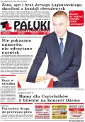 Pałuki i Ziemia Mogileńska